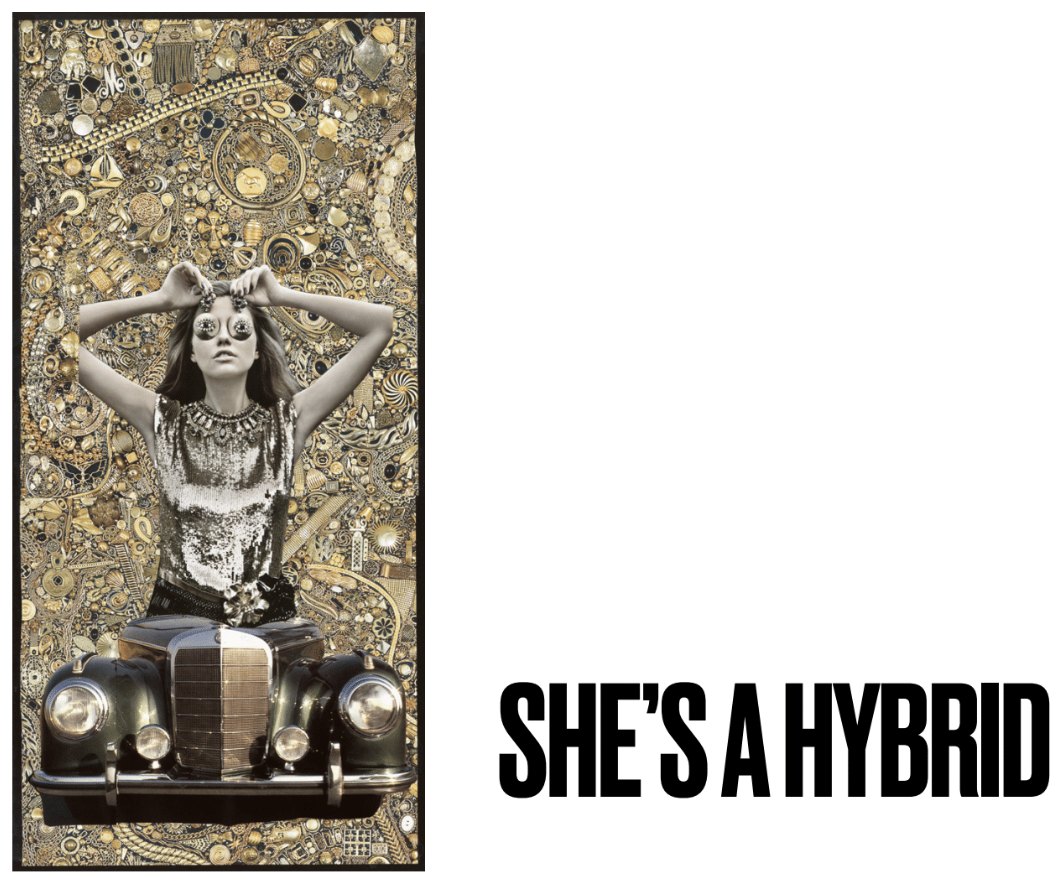 She’s A Hybrid, hand cut collage